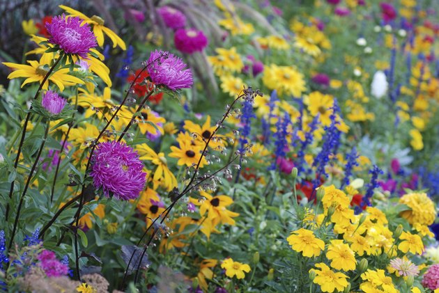 Bountiful Garden