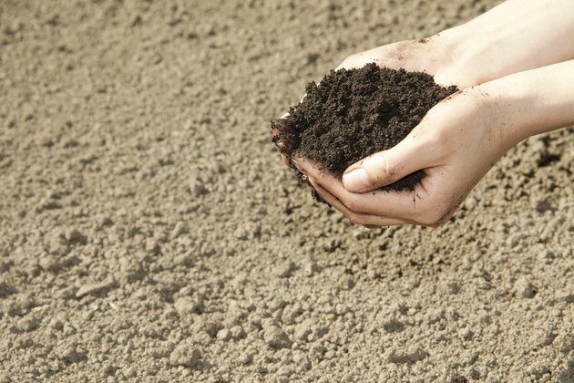hands with soil
