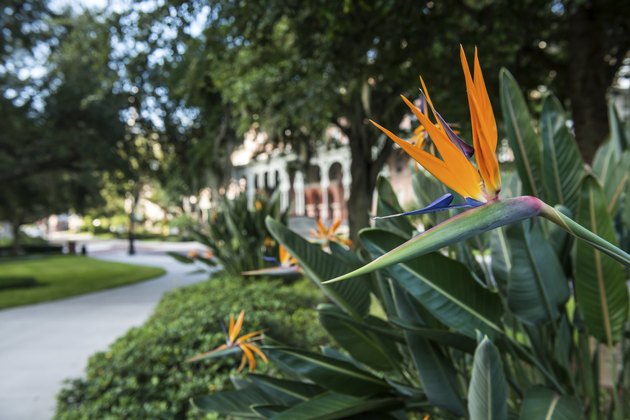 University of Tampa Campus