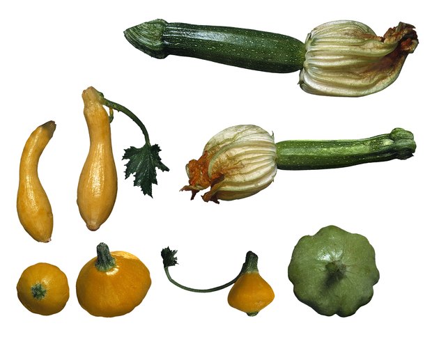 Assortment of squash