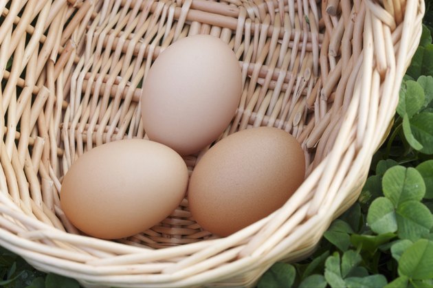 Eggs in a basket on a bed of clover