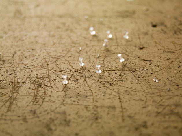 Thumb tacks on a bulletin board