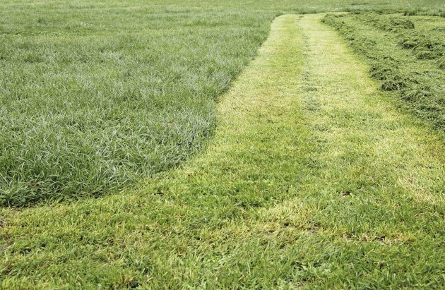Track cut grass