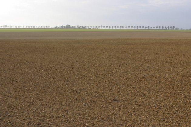 Field farmland