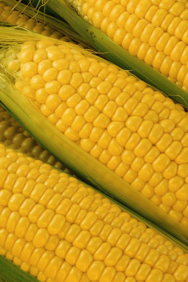 Ears of corn