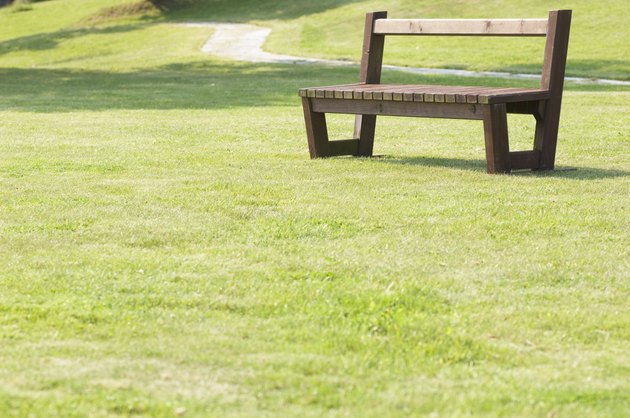Park lawn and an empty bench