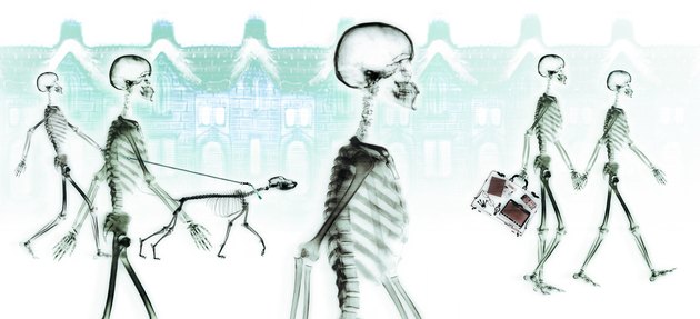 Skeletons walking through neighborhood