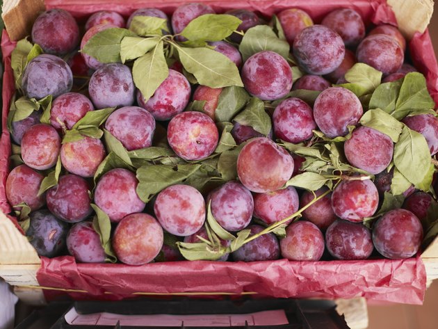 Heirloom plums