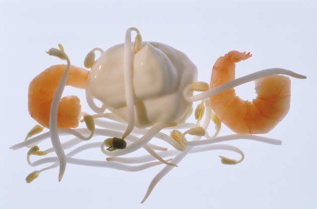 Bean sprout, prawn and shrimp on white background, close-up