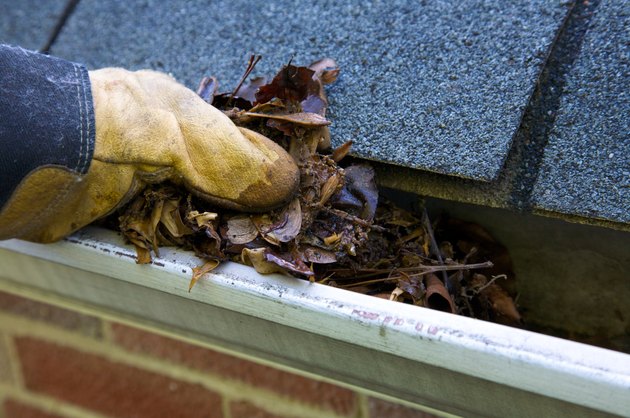 A fall tradition - cleaning the gutters of leaves. Here, we see them clogging the gutters of a traditional home. Could be used for advertising/clean up articles/etc. Narrow DOF