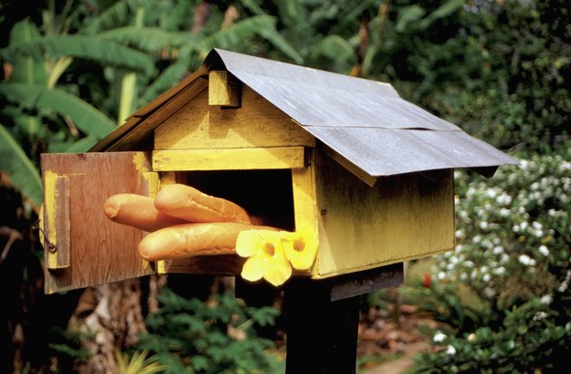 Close-up of fresh baguette and yellow flowers in a wooden mailbox on an island, French Polynesia