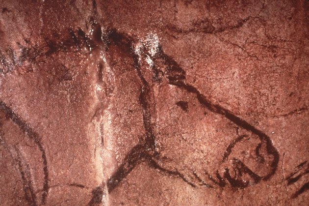 Prehistoric Cave Art Of Horse, France.