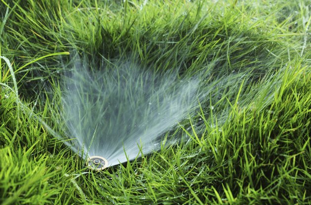 Lawn water sprinkler