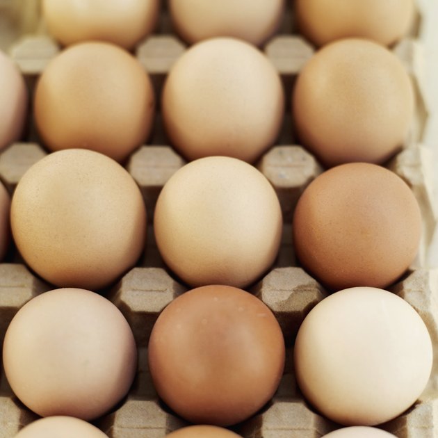 Elevated view of farm eggs