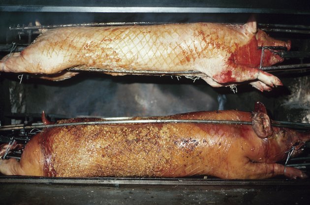 Two pigs roasting in France