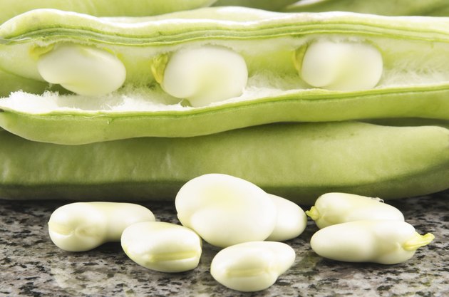 organic broad beans