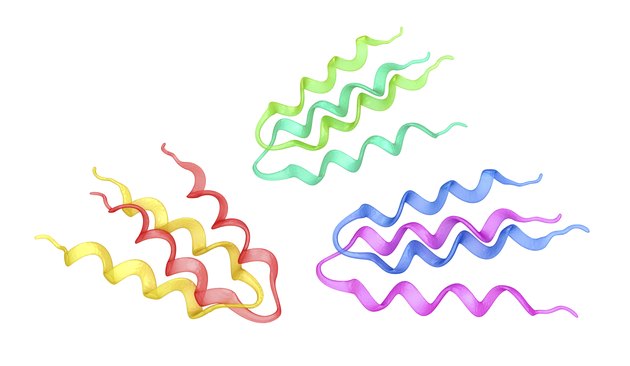 Protein structure