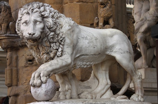 Lion in Florence