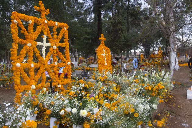 Day of the dead