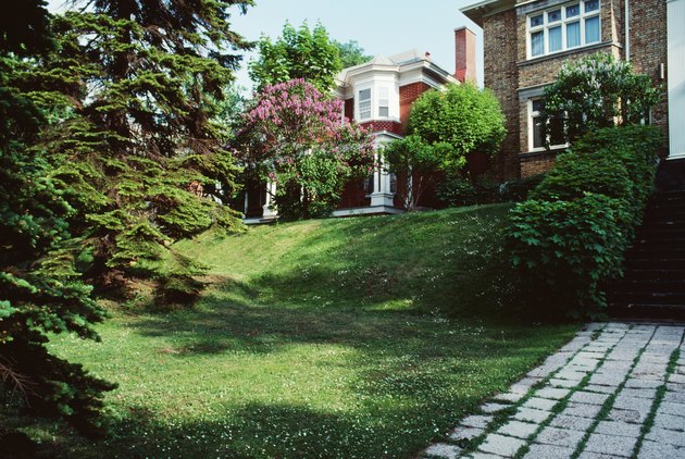 Backyards of houses