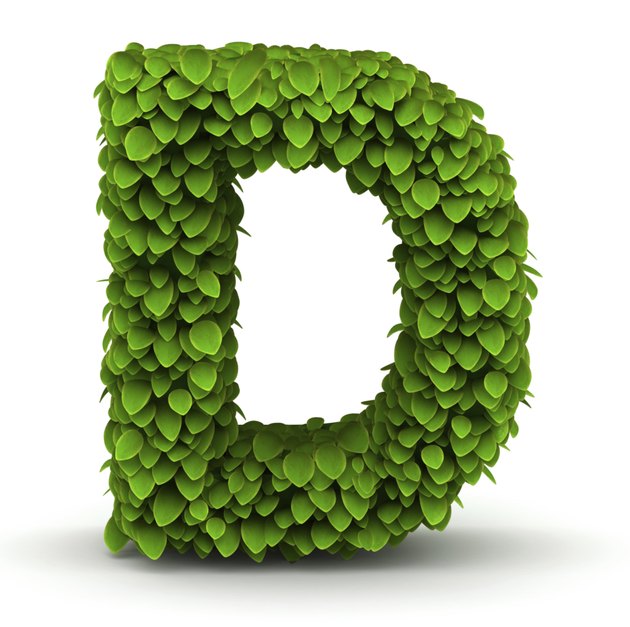 Leaves font letter D