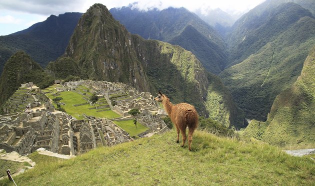 Scenic view of Macchu Picchu, Peru, South America