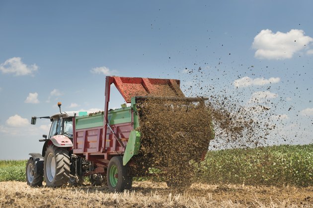 Manure spreader working
