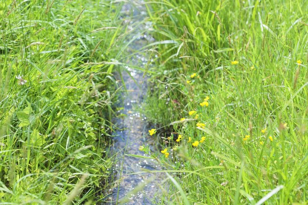 A small homemade stream through the yard can carry off excess water.
