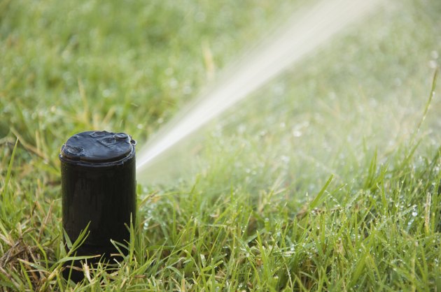 Sprinkler Head