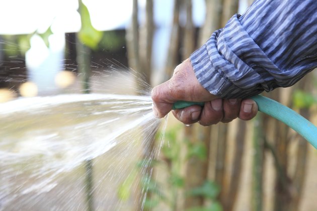 Holding a water rubber tube. Watering. hose down.
