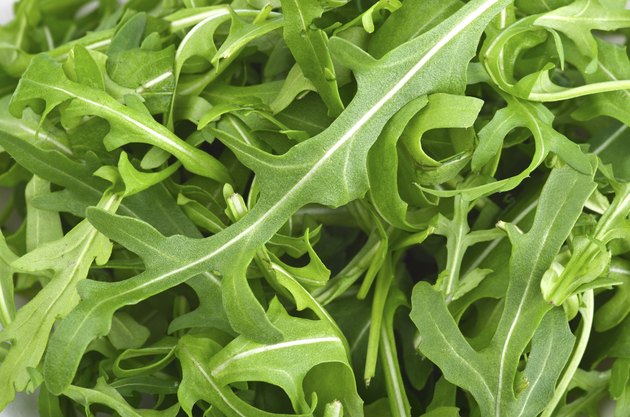 Fresh Arugula Green