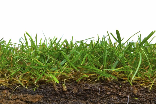 Turf cross section