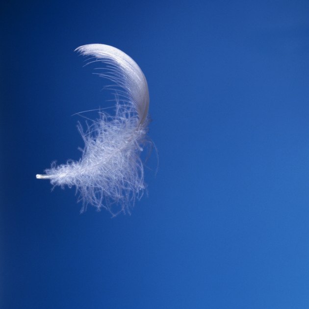 feather against blue sky
