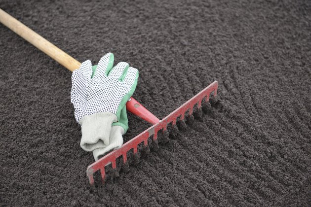 Garden rake and gloves on leveled soil