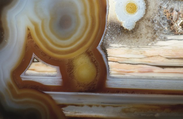 Cross section of a rock