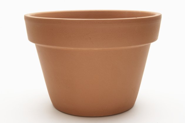 Terracotta flower pot