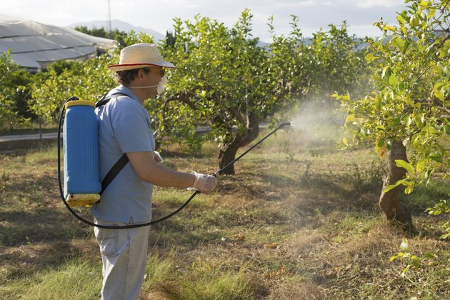 Agricultural worker