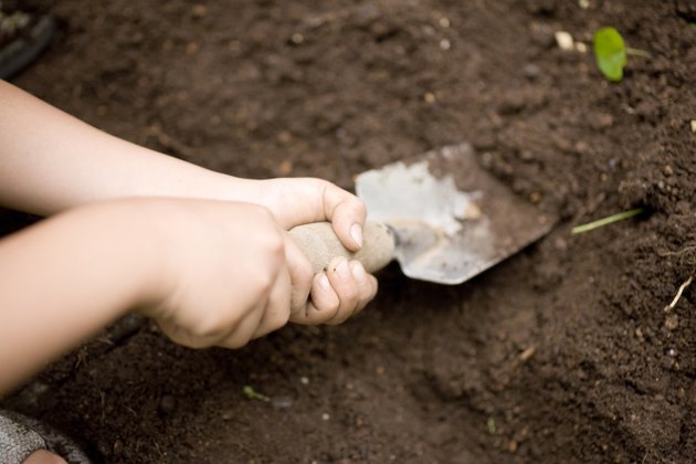 Boy with a shovel digging dirt, Kanagawa Prefecture, Honshu, Japan