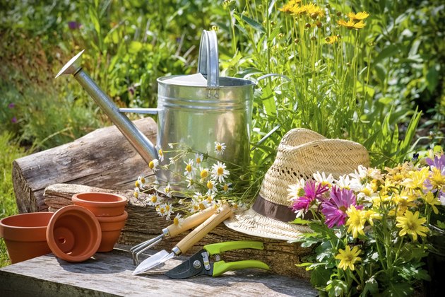Gardening