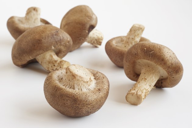 Six Shiitake mushrooms