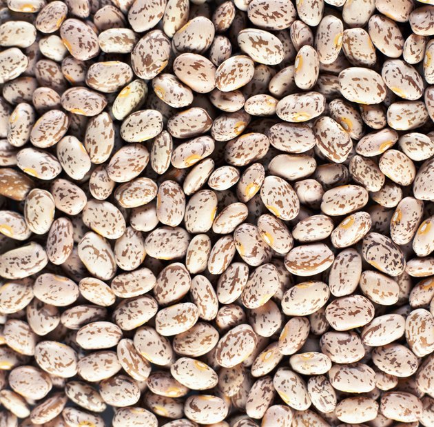 Pinto beans (full frame)