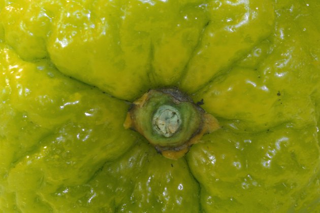 Bumpy lime surface