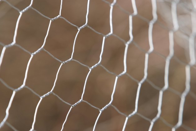 Chicken wire fence