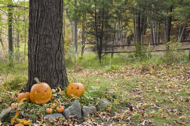 Halloween decorations