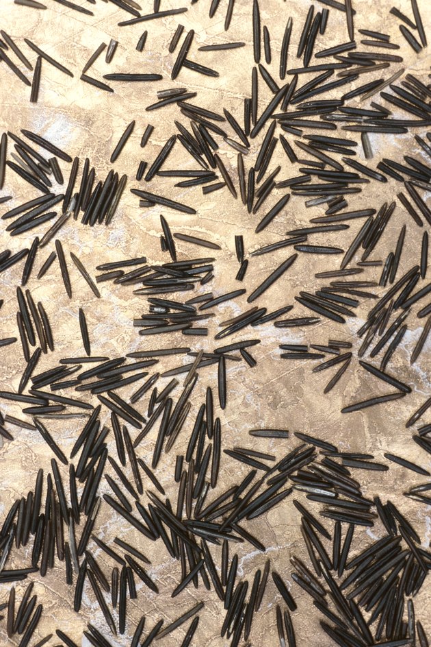 Wild rice