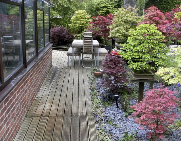 Image of bonsai trees in a garden next to conservatory