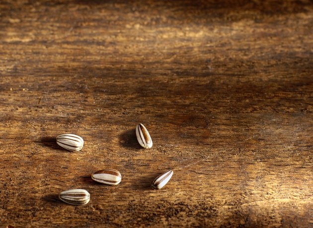 Five Sunflower Seeds