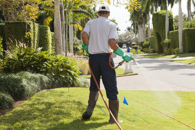 Pest control technician using high pressure spray gun and hose on lawns
