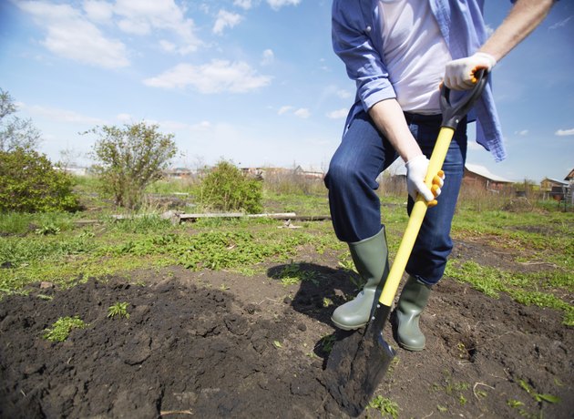 Digging in the garden