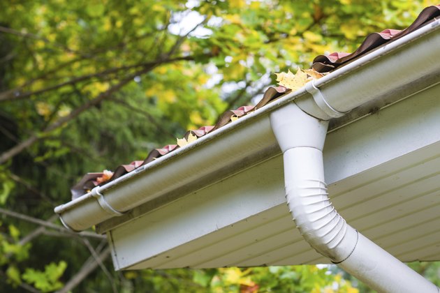 Maple leaves in gutter, fall time, horizon format